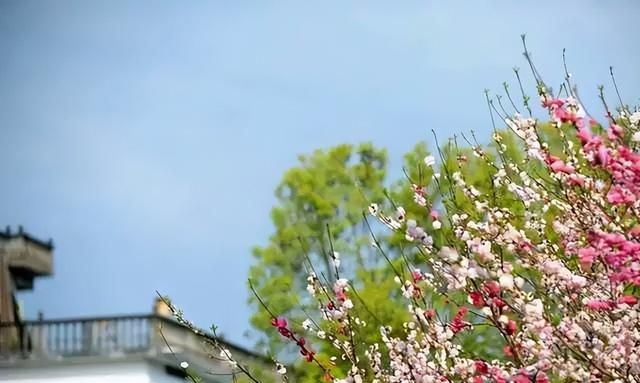 浙江武义10大古村落，温泉之城古韵悠悠