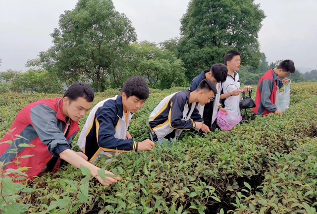 三大部专业！娄底楚怡职业学校2022年秋季招生简章来了