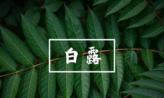 白露节气，赏析李白的《玉阶怨》