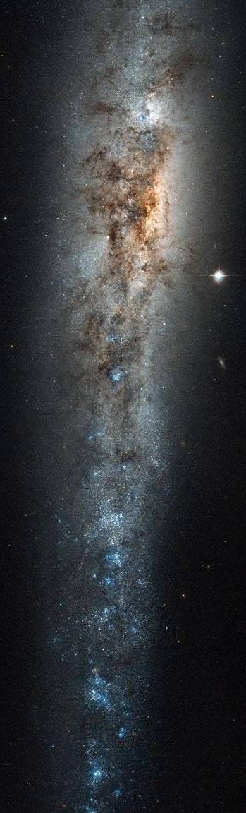 宇宙中的漂亮星系：仙女星系、车轮星系、魔眼星系和鲸鱼星系