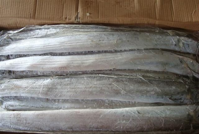 中国人常吃的10种海鱼，至少有3种成功养殖，这些你都吃过吗？