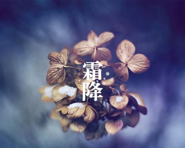 霜降时节如何进补(霜降儿童如何进补)图4