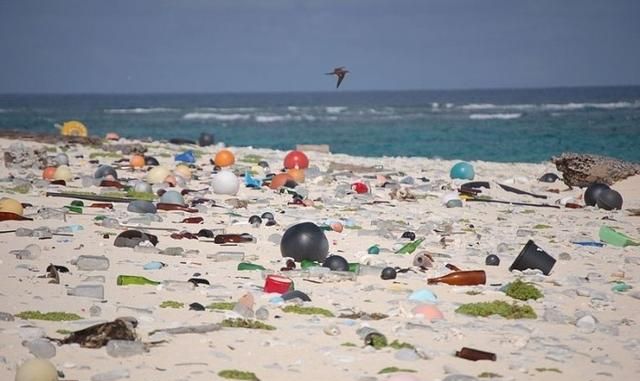 为什么人们找不到绝大多数的海洋塑料垃圾呢图1
