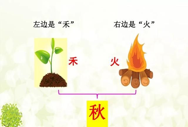 微课堂丨统编版小学语文一年级下册识字4《猜字谜》图文解读