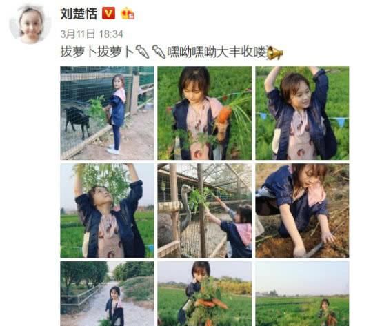 小芈月妈妈晒女儿拔萝卜照片，8岁刘楚恬逆天长腿美翻网友