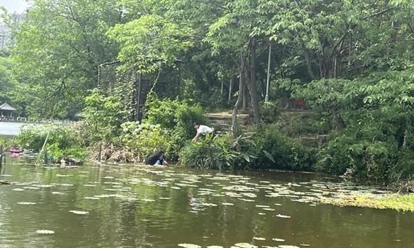 家长接电话时孩子不慎落水，湖南高校男生跃入湖中，救人后悄悄离开