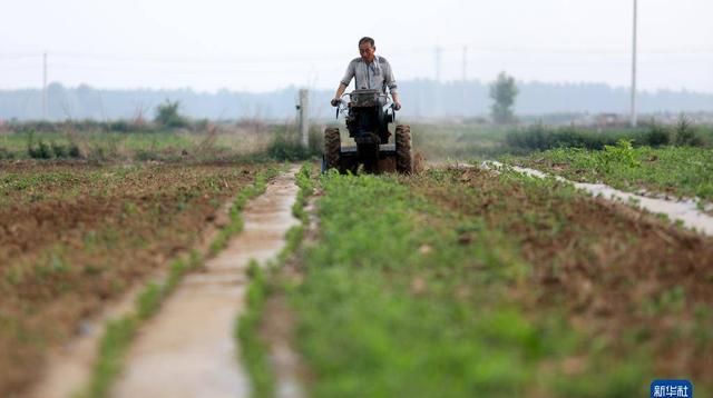 夏至，是一年中最热的一天吗？| 民俗日历·二十四节气