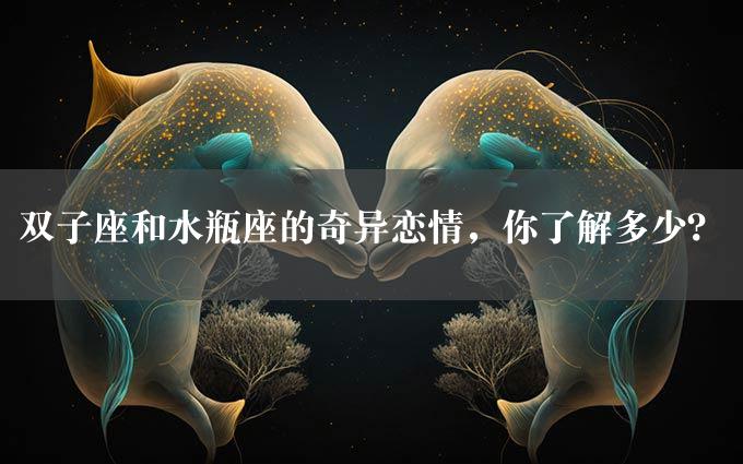 双子座和水瓶座的奇异恋情，你了解多少？