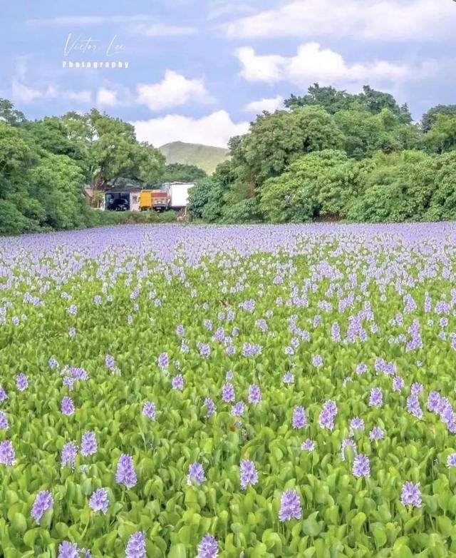 踏遍香港的山山水水后，我盘点了这些值得一去的地方