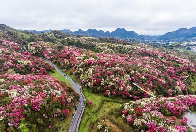 贵州旅行，不可不去的20个地方，你走过了几个？