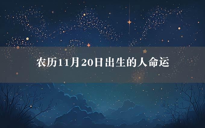 农历11月20日出生的人命运