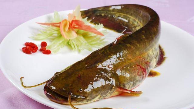 黄河螺蛳青鱼怎么吃,河南名菜